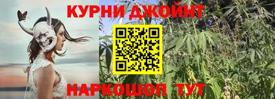 амф Гай