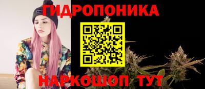 jwh Гатчина