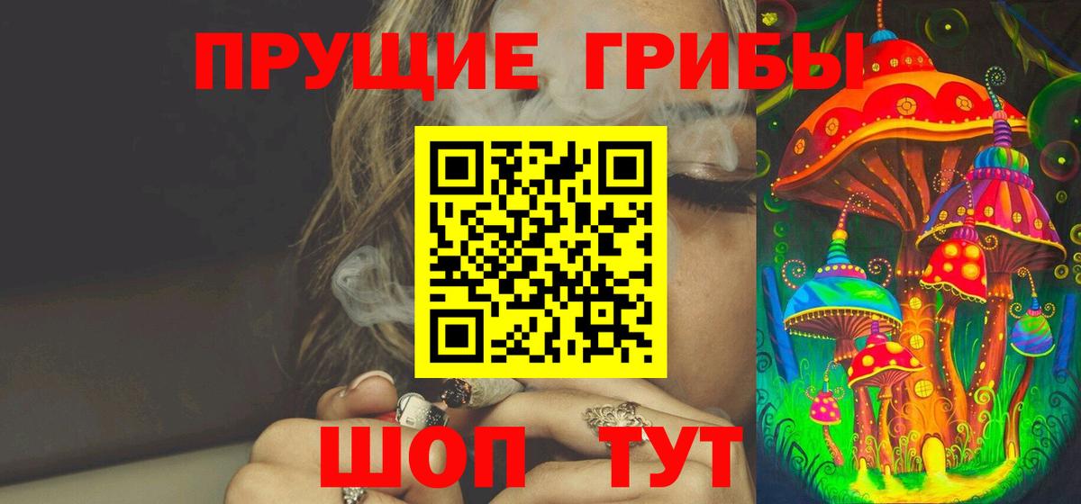 где купить наркоту  Галлюциногенные грибы GOLDEN TEACHER  Вход с VPN  Гусев 