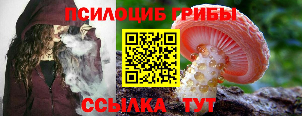 Галлюциногенные грибы мухоморы Гусев